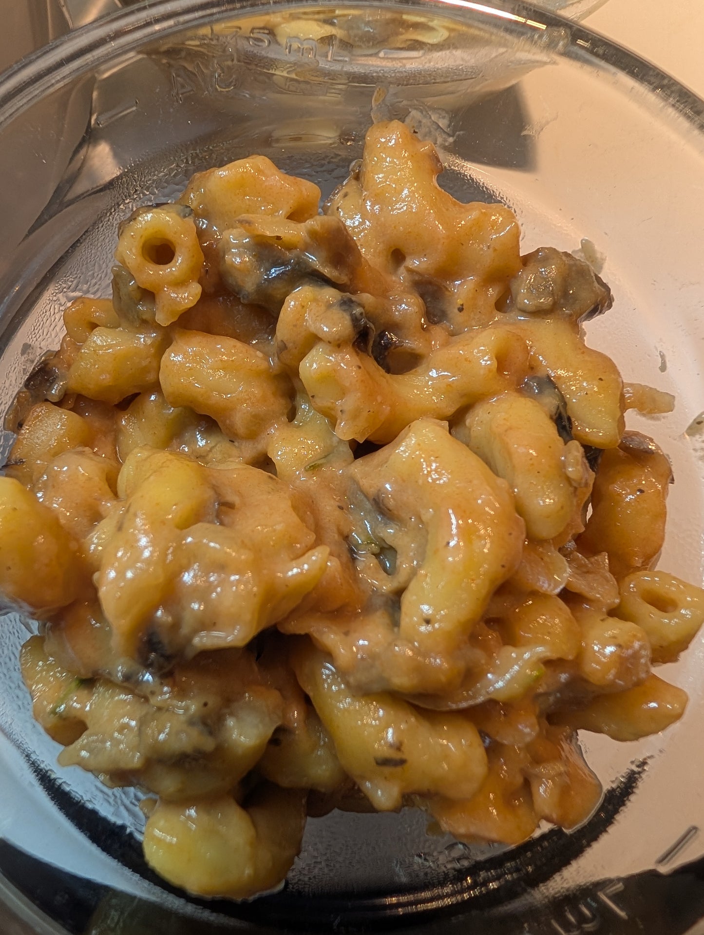 Stroganoff Skillet Hiker/ Camping Meal