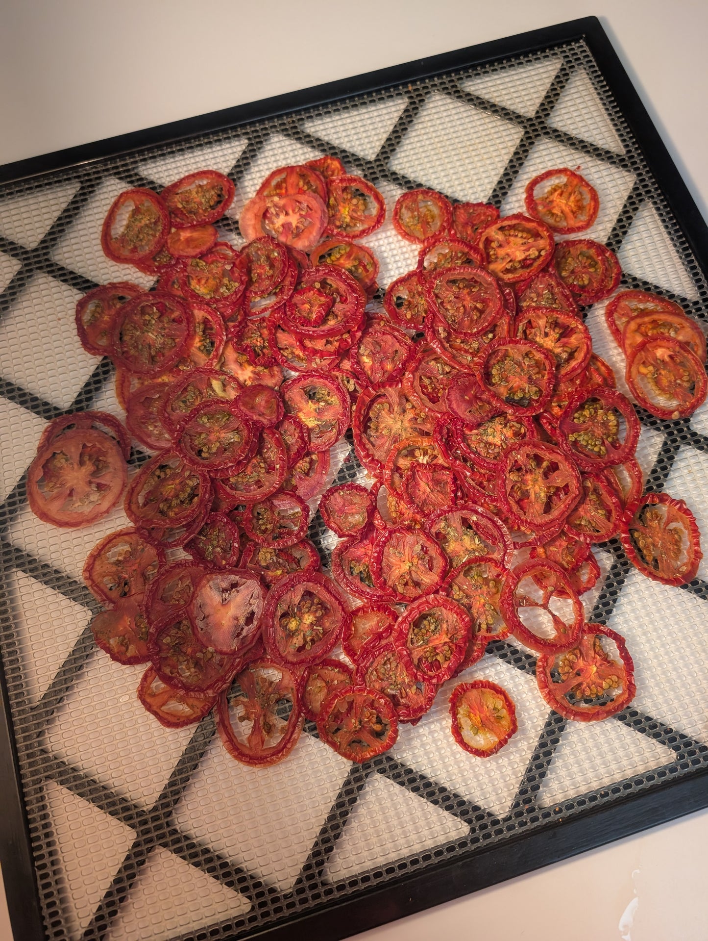 Dehydrated Pizzalicious Pizza Wheels ,Italian Seasoning, Pizza Snacks, Tomato Chips, Health, No Preservatives, Gluten Free, Vegan
